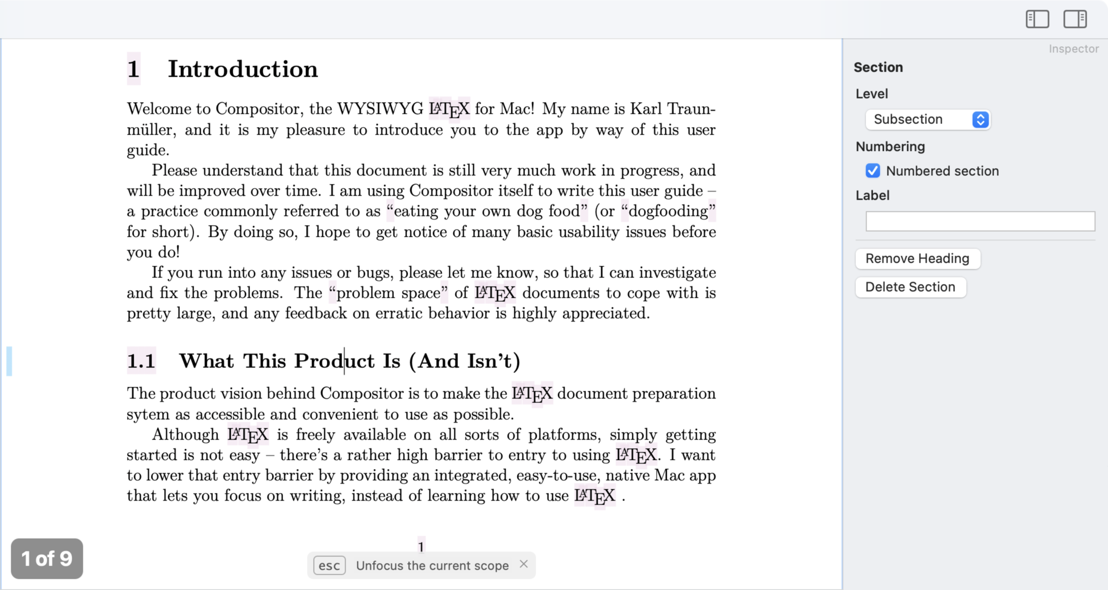 Compositor section inspector on macOS